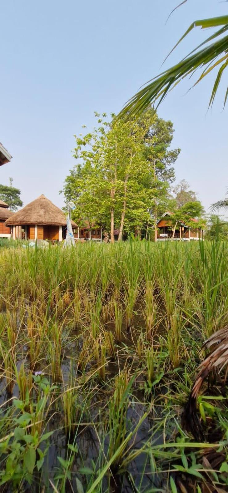Bolaven Garden Bungalow And Tent - Tad Lo Ban Kiangtat Exterior photo
